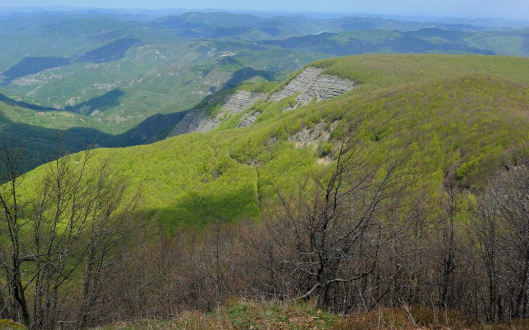 Foresta monumentale della Verna, rinnovata la convenzione per la  gestione 
						 – www.toscana-notizie.it