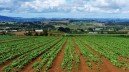Attivato un servizio digitale dedicato alla richiesta dell’Attestato di Adeguate Conoscenze e Compet… – www.regione.campania.it