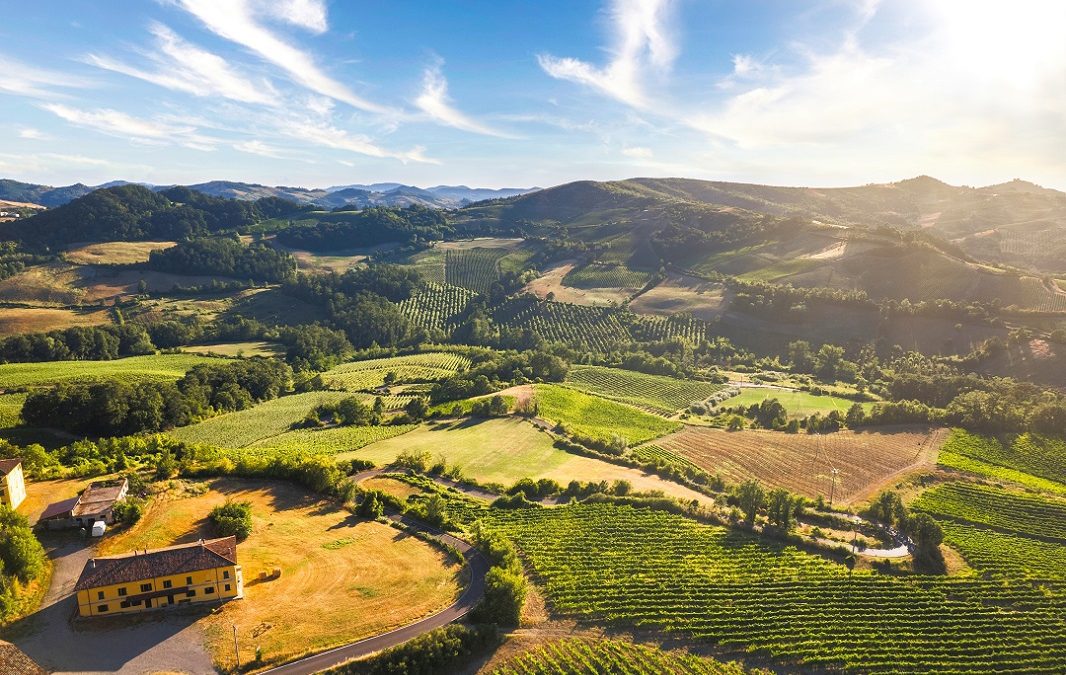 Butala nuova eccellenza del territorio – www.lombardianotizie.online