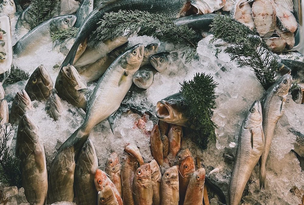 PO FEAMP, graduatorie del bando misura 5.68 par. 3 – www.lazioeuropa.it