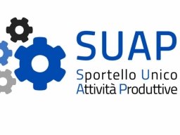 Linee guida per l’adeguamento e la standardizzazione delle piattaforme tecnologiche dei SUAP campani – www.regione.campania.it