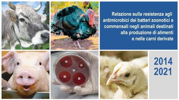 Relazione sulla resistenza agli antimicrobici dei batteri zoonotici e commensali negli animali destinati alla produzione di alimenti e nelle carni derivate – www.salute.gov.it