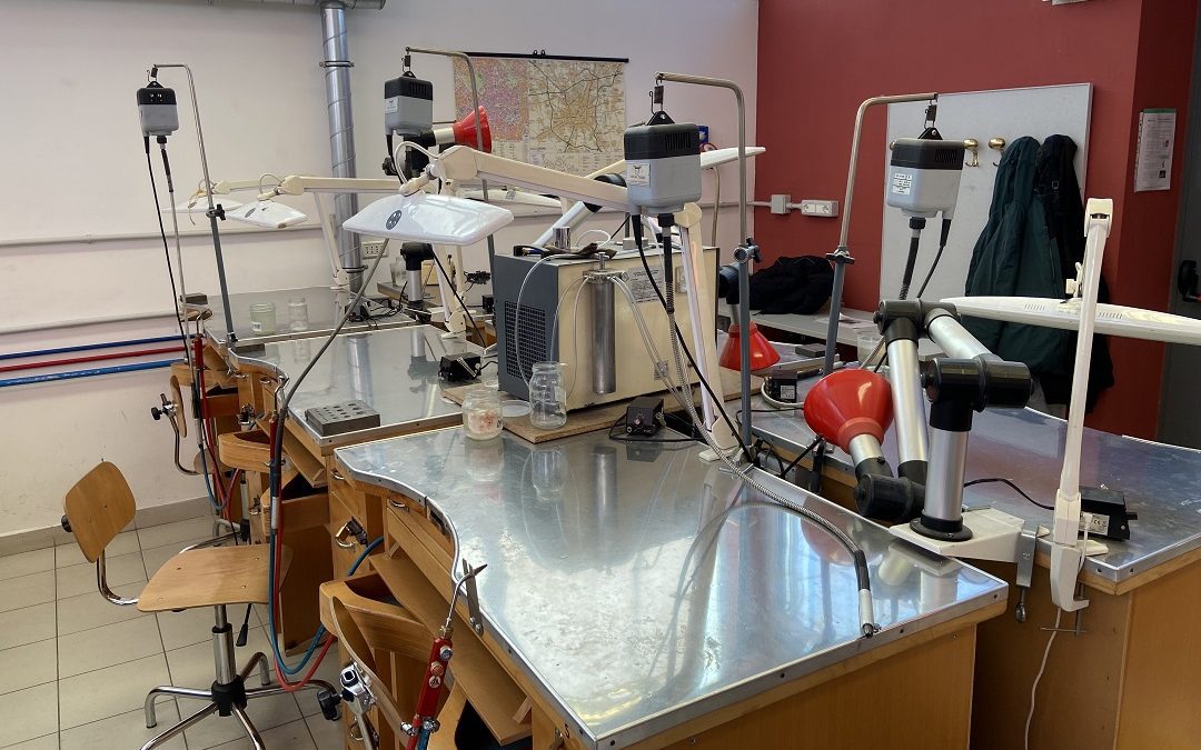 Formazione, sperimentazione 4 anni, Tironi: Lombardia prima in Italia – www.lombardianotizie.online