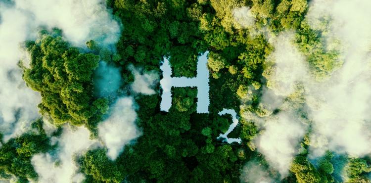 Decarbonizzazione e idrogeno rinnovabile, il 23 gennaio info-day del Mase sui bandi Innovation Fund


      
        Browse
      
    
    

            
  
    

      

  


          
   – www.sardegnaimpresa.eu