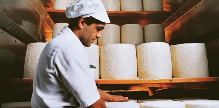Facilitato l’accesso al credito per le aziende produttrici di pecorino romano


      
        Browse
      
    
    

            
  
    

      

  


          
   – www.sardegnaimpresa.eu