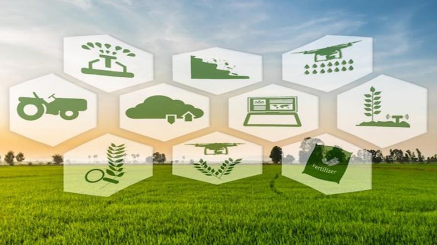 Bando a sostegno dell’agricoltura di precisione
 – www.regione.piemonte.it