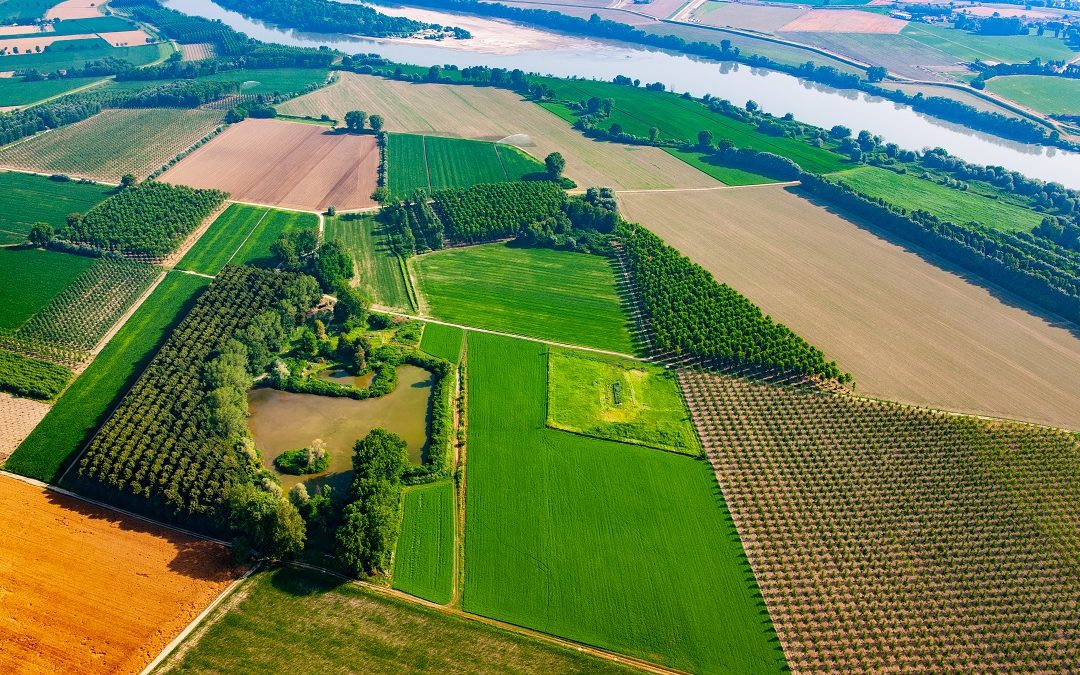 Recupero fanghi agricoltura applicativo permette più controllo – www.lombardianotizie.online
