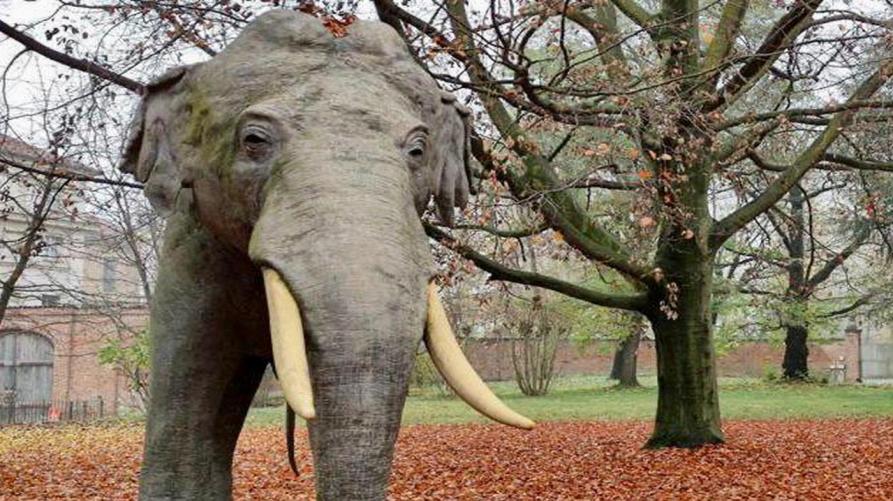 L’elefante Fritz annuncia la riapertura del Museo regionale di Scienze naturali
 – www.regione.piemonte.it