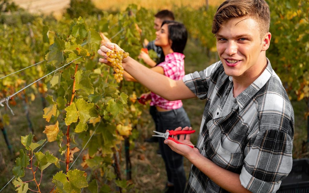 30 milioni per la formazione e il ricambio – www.lombardianotizie.online