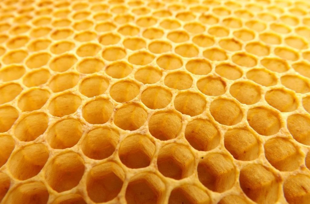 Bando anno apistico 2023/2024: presa d’atto domande pervenute – www.lazioeuropa.it