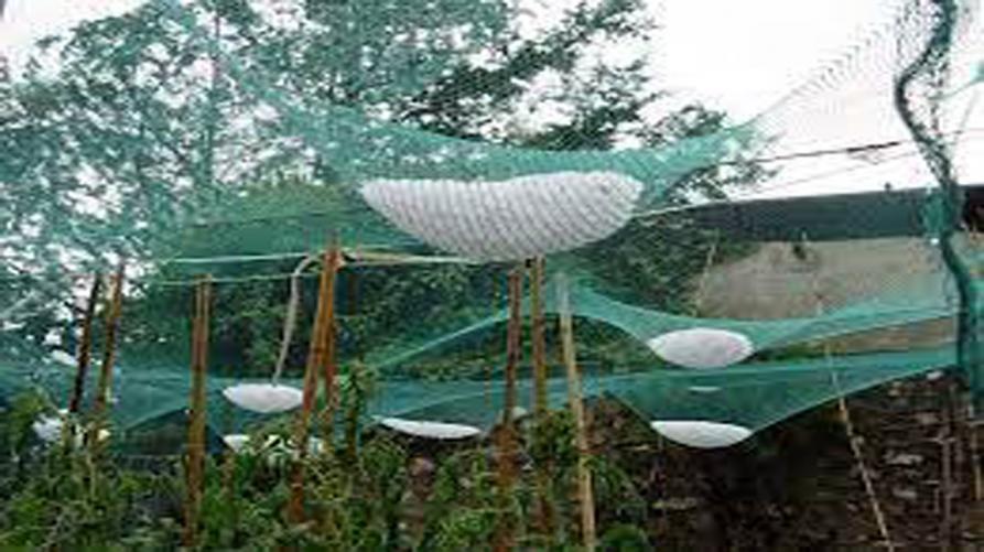 Bando per l’acquisto di reti antigrandine
 – www.regione.piemonte.it