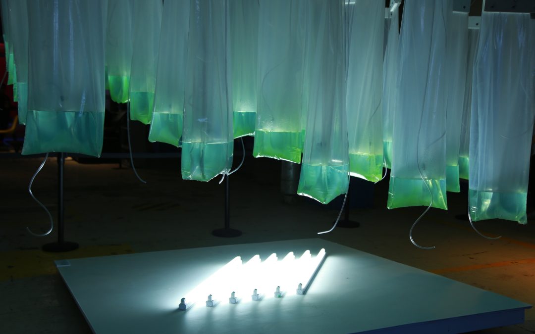 Novel protein production processes – take part in our survey! – www.efsa.europa.eu