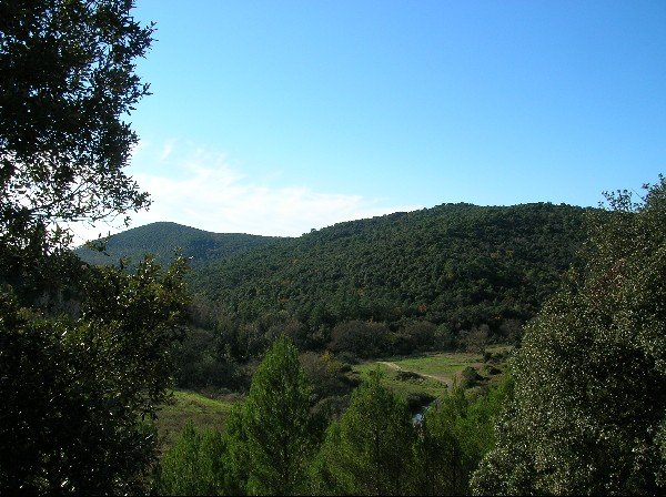 Monti Livornesi, avviato il tavolo per definire strategie e iniziative nelle aree protette 
						 – www.toscana-notizie.it