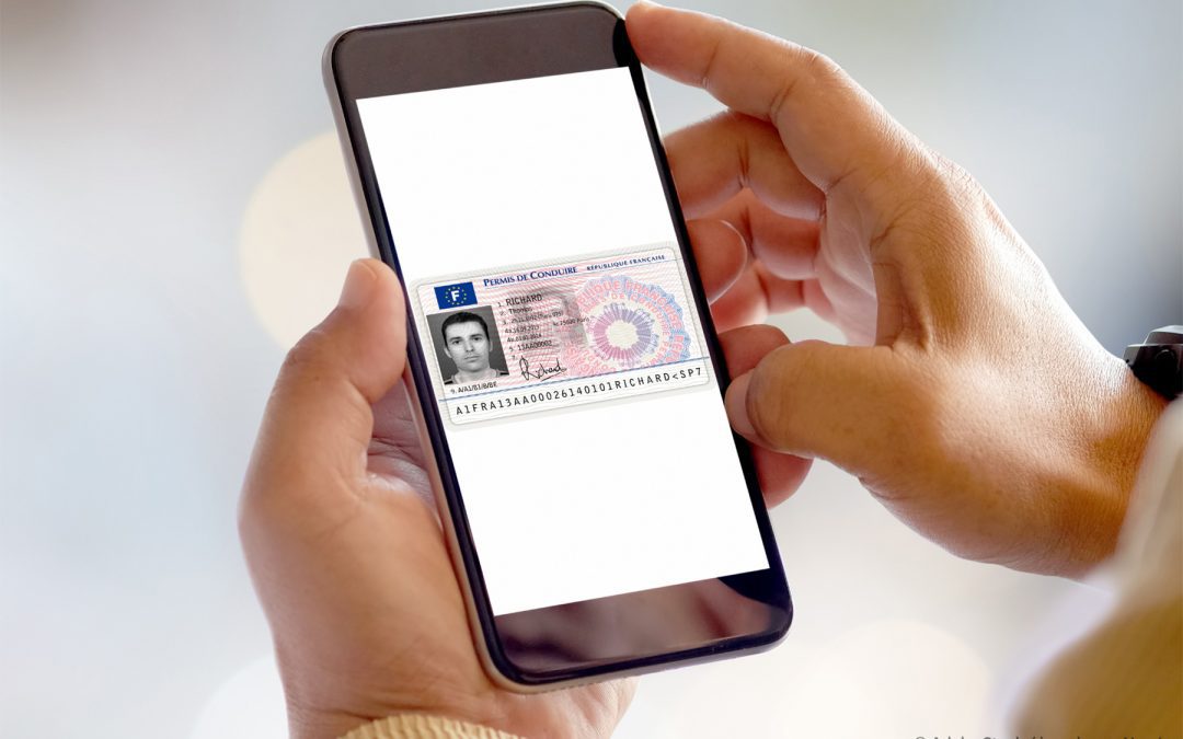 Le proposte del Parlamento per aggiornare le norme UE sulle patenti di guida | Attualità – www.europarl.europa.eu