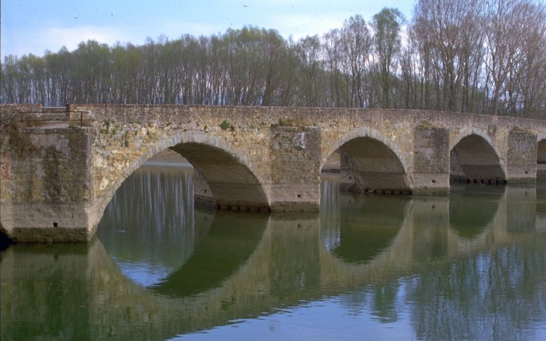 Nuovo Ponte a Buriano, 21 milioni dalla Regione. Giani: “Opera strategica per la viabilità” 
						 – www.toscana-notizie.it