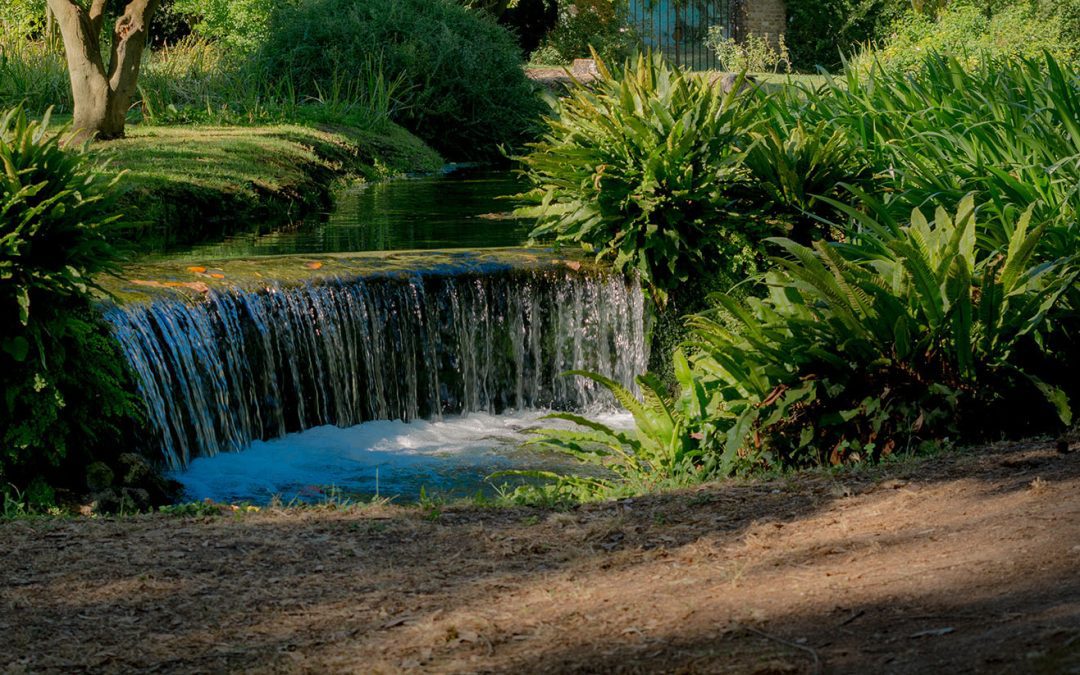 La nuova stagione di visite all’Oasi di Ninfa – www.visitlazio.com