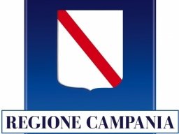 “Riflessioni sul nuovo codice dei contratti pubblici: tra novità e aspettative” – www.regione.campania.it