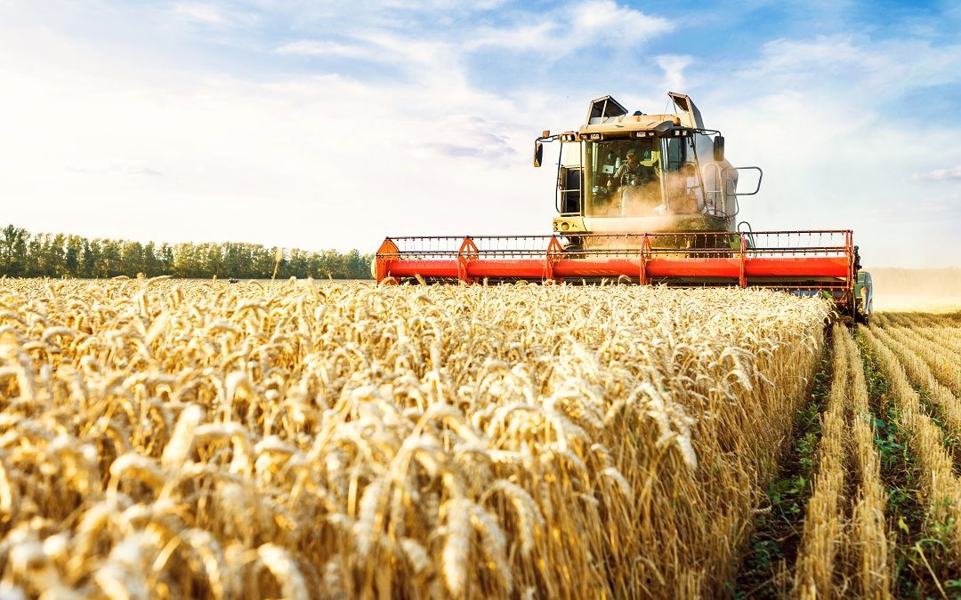 consumare prodotti locali primo atto di tutela – www.lombardianotizie.online