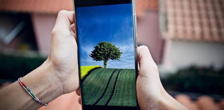 Pnrr e transizione digitale verde: approvato Piano da 6,3 miliardi di euro per le imprese


      
        Browse
      
    
    

            
  
    

      

  


          
   – www.sardegnaimpresa.eu