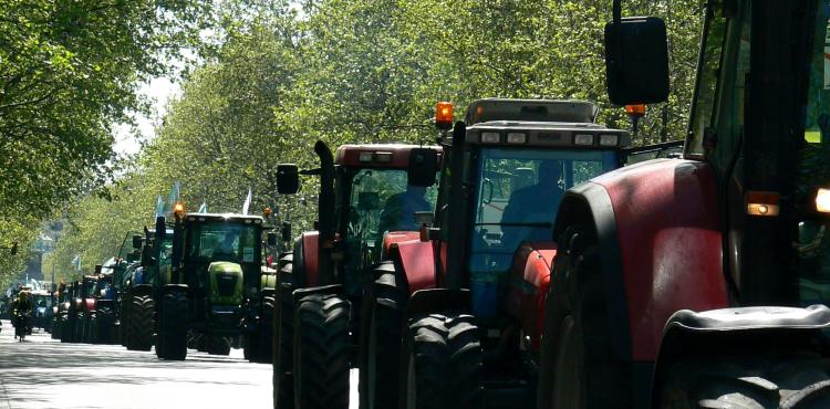 Consiglio Agricoltura e pesca dell’Ue: concordate misure per fronteggiare la crisi del settore


      
        Browse
      
    
    

            
  
    

      

  


          
   – www.sardegnaimpresa.eu