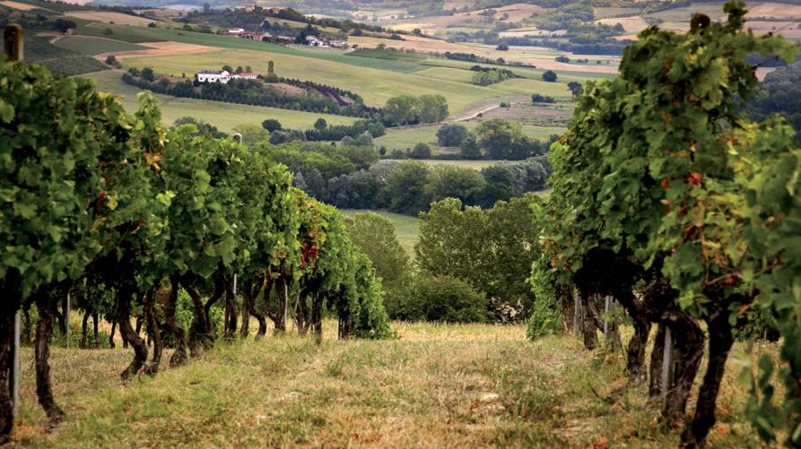 Siccità: il Piemonte richiede la calamità naturale 
 – www.regione.piemonte.it