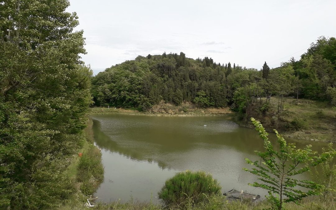 I lavori alla diga di Sammontana, Monni: “Garanzia di sicurezza e recupero ambientale” 
						 – www.toscana-notizie.it