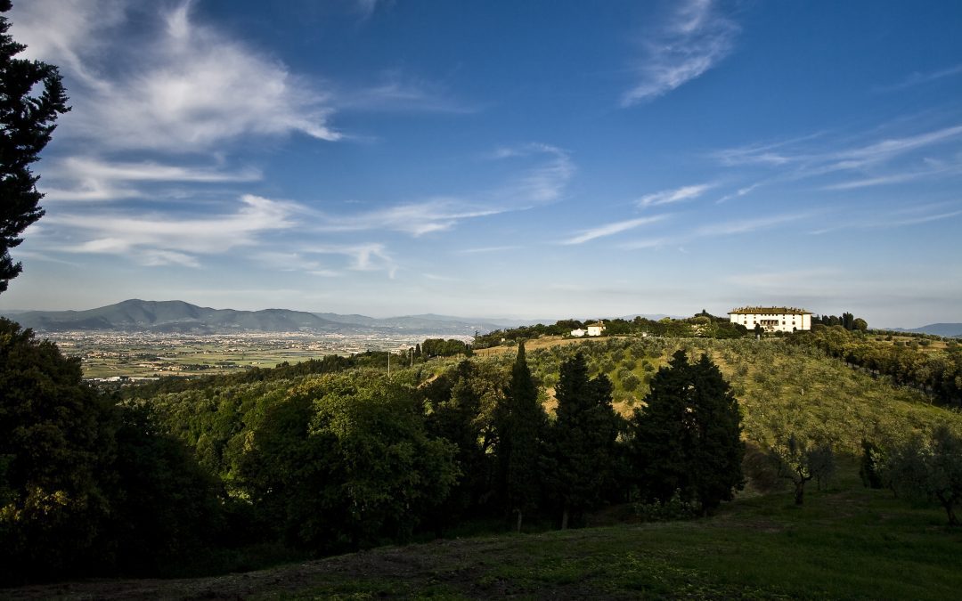 Il Consorzio di tutela vino Carmignano chiede il riconoscimento ministeriale 
						 – www.toscana-notizie.it