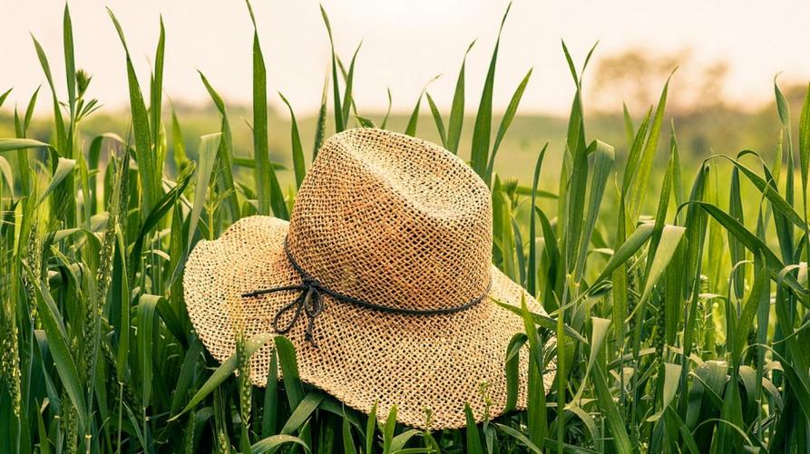 Bando per le misure agro climatico ambientali a sostegno di agricoltori e allevatori
 – www.regione.piemonte.it