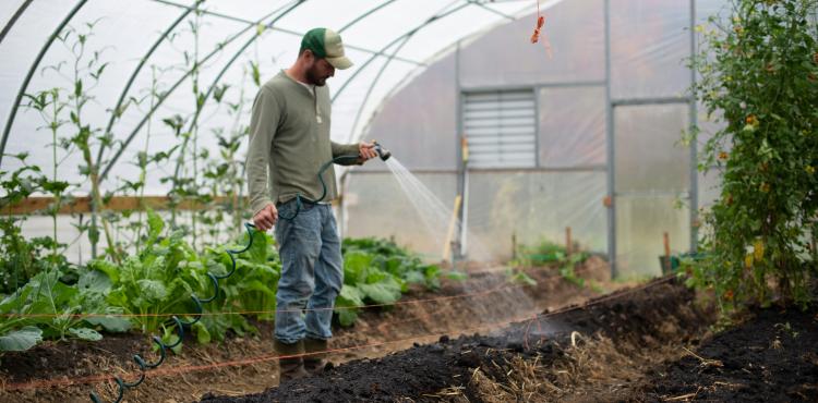Agricoltura, entra in vigore la nuova legge per favorire l’imprenditoria giovanile


      
        Browse
      
    
    

            
  
    

      

  


          
   – www.sardegnaimpresa.eu