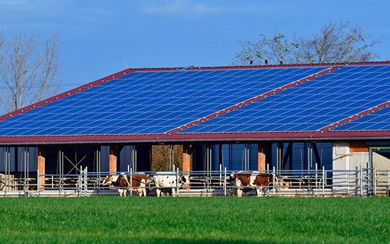 Agrisolare. Lollobrigida: "Già assegnato oltre 1 miliardo di euro, avanti per finanziare tutti i progetti ammissibili" – www.politicheagricole.it