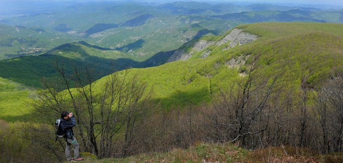 La Toscana ancora capofila del Segretariato internazionale Foreste Modello nel 2024-2028 
						 – www.toscana-notizie.it
