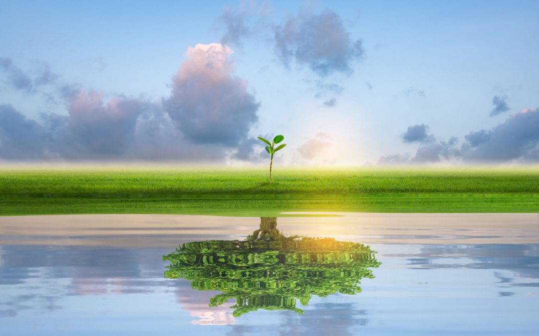 Grazie a sinergia con Governo, 65 milioni per bonificare 18 ‘siti orfani’ – www.lombardianotizie.online