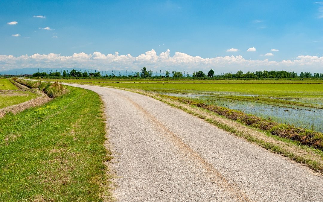 Delegazione amministratori della Lomellina a Palazzo Lombardia – www.lombardianotizie.online