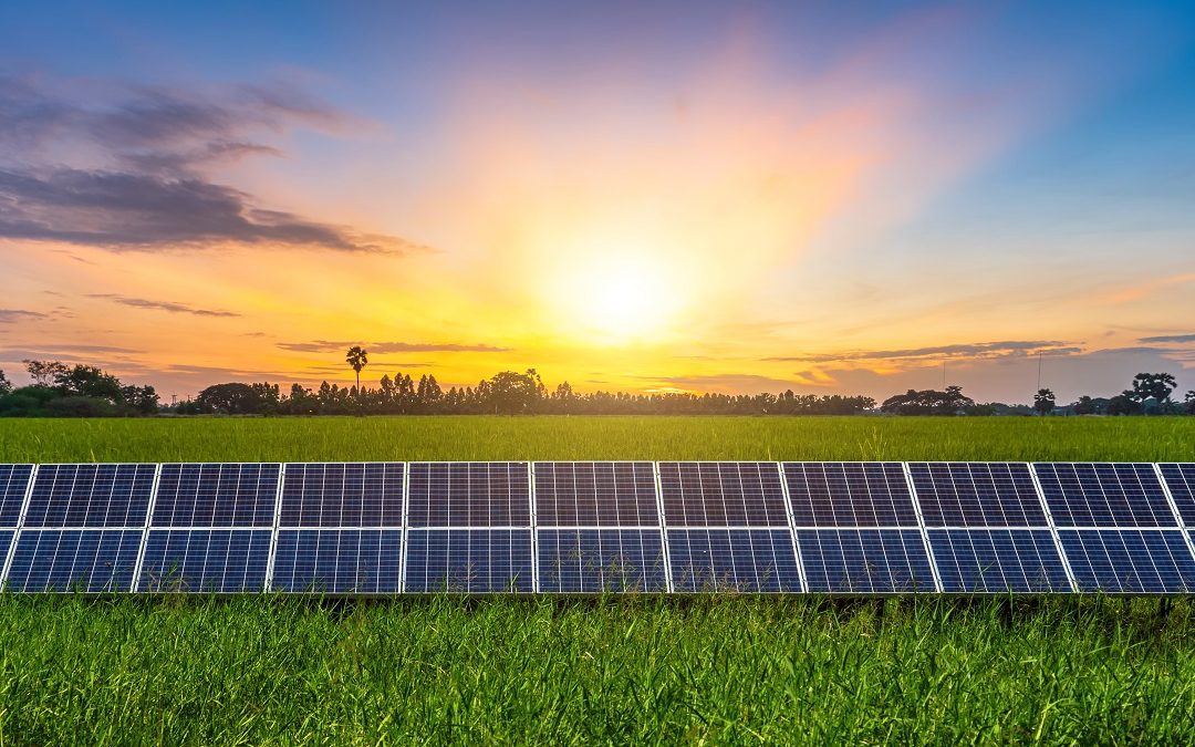 Impianti fotovoltaici e tutela aree agricole: indicazioni per installazione – www.lombardianotizie.online