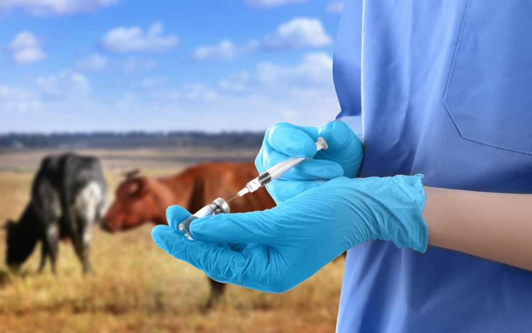Veterinary drug residues in animals and foods remain low – www.efsa.europa.eu