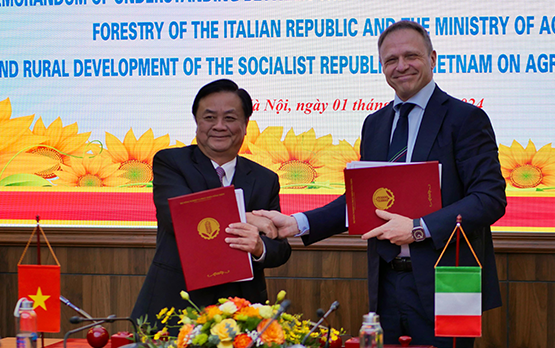Lollobrigida: firmato memorandum Italia-Vietnam per valorizzare nostre eccellenze – www.politicheagricole.it