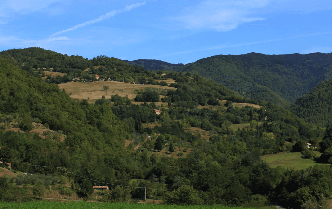 Montagna, pubblicati i bandi da 7 milioni dal Fondo statale 
						 – www.toscana-notizie.it
