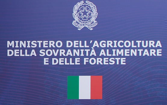 Il Masaf al Vinitaly 2024: dalla mostra sul vino ai convegni, dalle degustazioni all'installazione immersiva. Il programma – www.politicheagricole.it