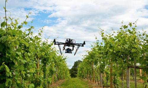 Agricoltura, al via il bando su partenariati di supporto a innovazione 
						 – www.toscana-notizie.it