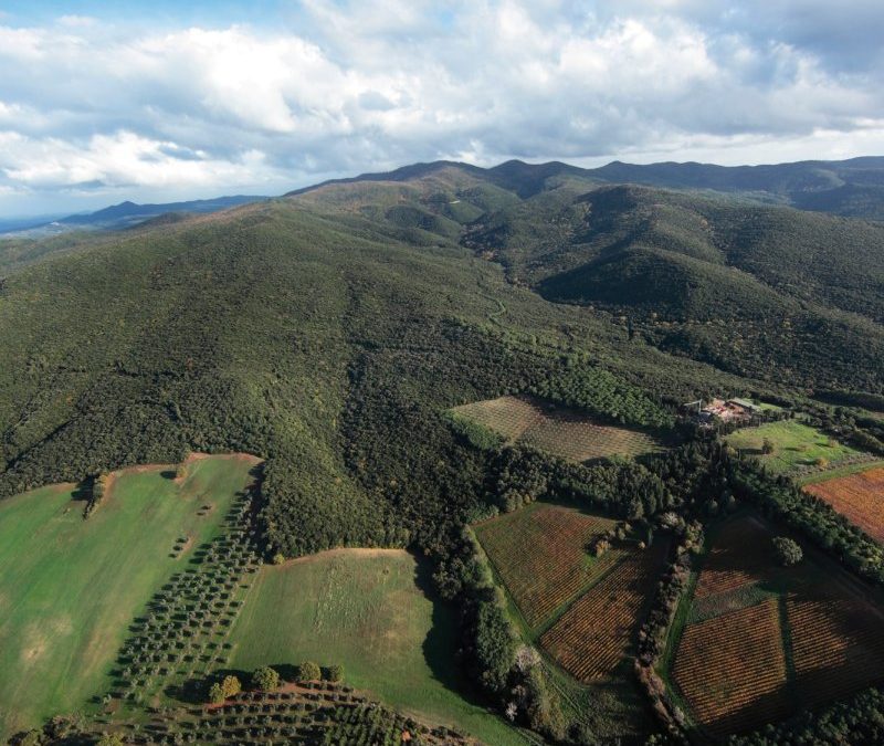 Benvenuto alle “Colline della Pia”, il nuovo distretto biologico nel sud della Toscana 
						 – www.toscana-notizie.it