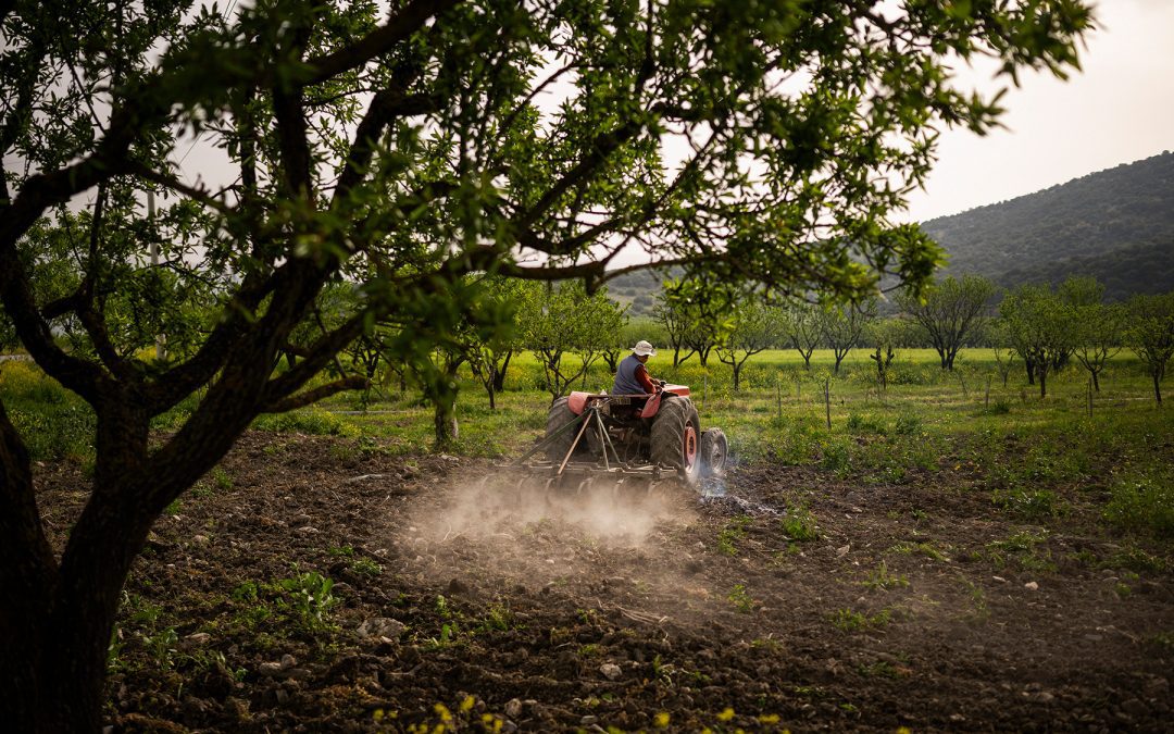 Il Parlamento approva una revisione della Politica agricola comune | Attualità – www.europarl.europa.eu