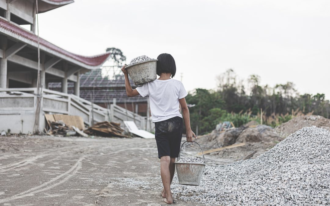 Sostenibilità imprese: approvate norme su diritti umani e ambiente | Attualità – www.europarl.europa.eu