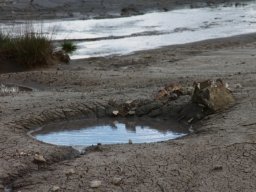 “Cammini Aperti” – sabato 13 e domenica  14 aprile  La  Via Francigena campana, il Cammino di San Ni… – www.regione.campania.it