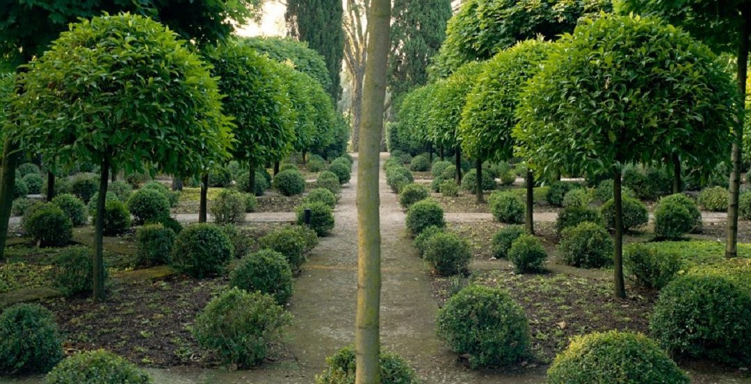 I Giardini della Landriana riaprono al pubblico – VisitLazio – www.visitlazio.com