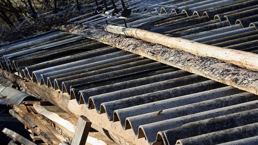 Ex esposti amianto: dal 28 aprile preadesione al programma gratuito di sorveglianza sanitaria
 – www.regione.piemonte.it