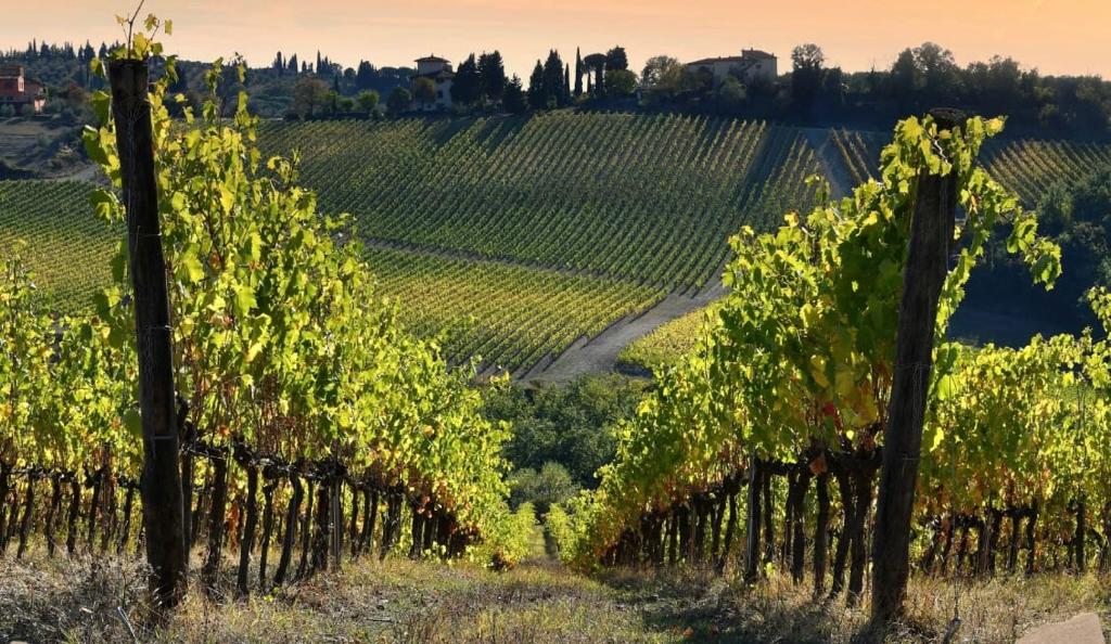 Innovazione e valorizzazione del territorio, accordo tra Regione e Accademia dei Georgofili 
						 – www.toscana-notizie.it