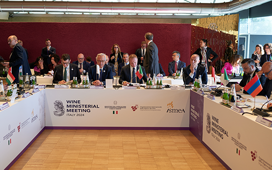 Vino. Lollobrigida, recepite proposte Italia per futuro del settore – www.politicheagricole.it