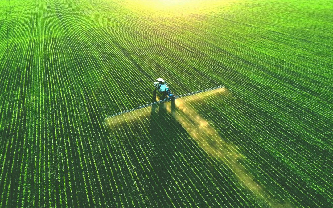 Residui di pesticidi negli alimenti: rese note le ultime cifre – www.efsa.europa.eu