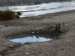 “Cammini Aperti” – sabato 13 e domenica 14 aprile  La  Via Francigena campana, il Cammino di San Nil… – www.regione.campania.it