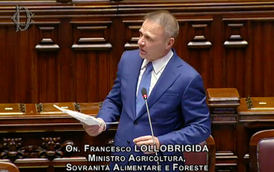 Question Time del Ministro Lollobrigida alla Camera dei Deputati – www.politicheagricole.it